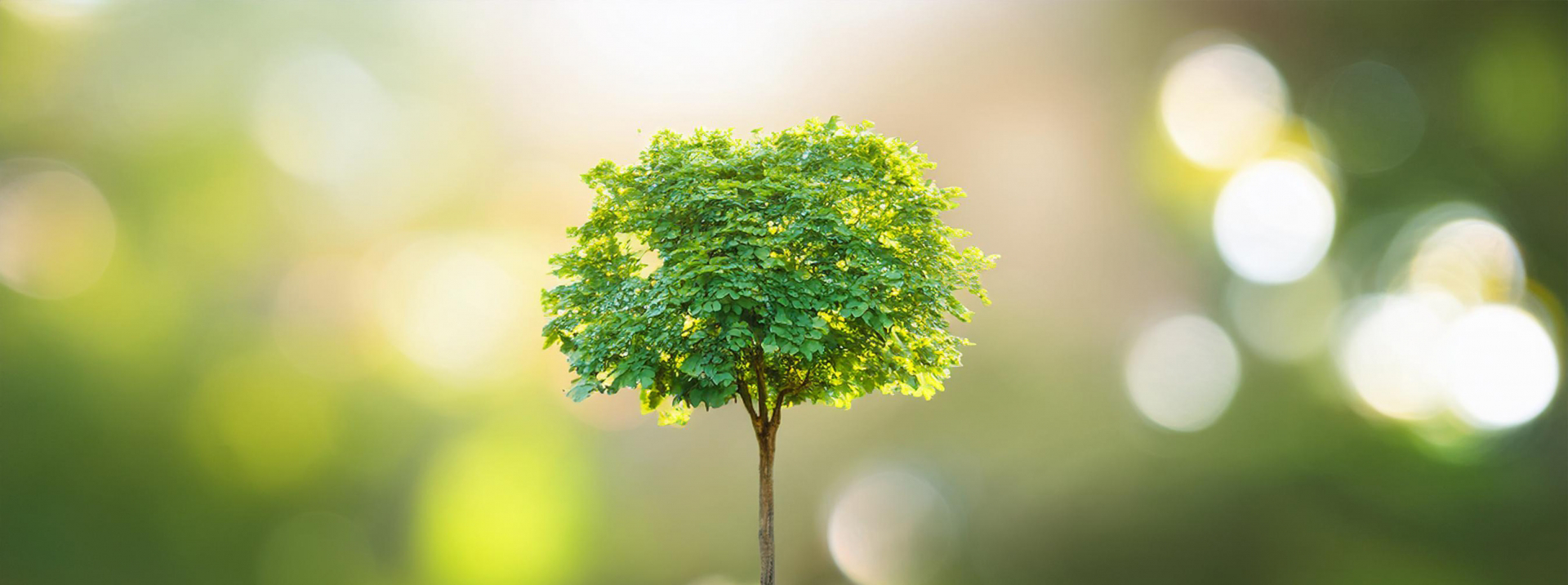 pagetop_h1_sustainable